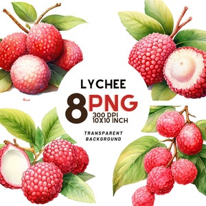 Acuarela Lychee Clipart - 8 PNG de alta resolución para Scrapbooking, Diario Digital, Imprimible con uso comercial, Descarga digital