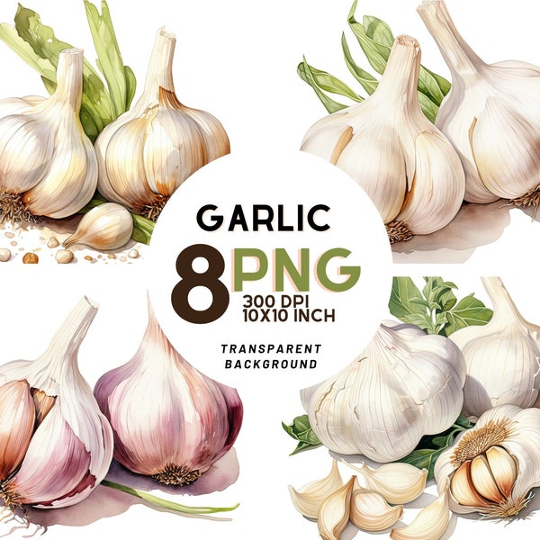 Watercolor Garlic Clipart - 8 High-Resolution PNGs for Scrapbooking, Digital Journal, Printable with Commercial Use, Digital download