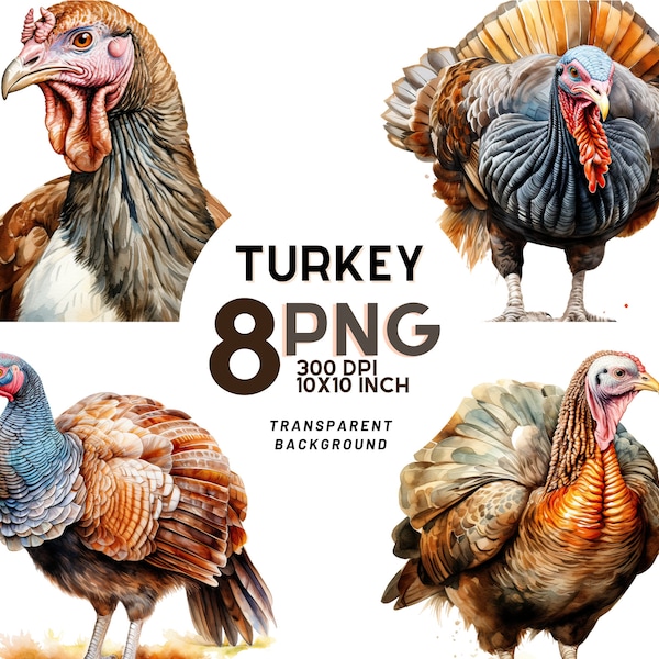 Watercolor Turkey Clipart: 8 High-Quality PNGs 300DPI - Tropical Bird South America - Commercial Use, Instant Digital Download