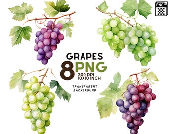 Watercolor Grapes Clipart - 8 High-Resolution PNGs for Scrapbooking, Digital Journal, Printable with Commercial Use, Digital download