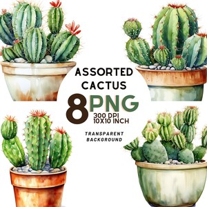 Aquarel geassorteerde cactusset: 8 hoogwaardige 300 DPI PNG's, botanische print, afdrukbaar met commercieel gebruik, digitale download