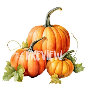 Aquarell Kürbis Clipart Set: 8 hochwertige 300 DPI PNGs für Scrapbooking, Digital Journal - Kommerzielle Nutzung - Digitaler Sofortdownload