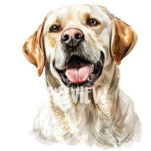 Gelber Labrador Aquarell Clipart - 8 hochwertige PNGs für Scrapbooking, Digital Journaling Druck, Sofortiger digitaler Download