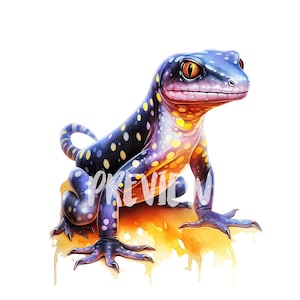 Salamander Watercolor clipart: 8 PNGs, Scrapbooking, Digital Journal, Printable with Commercial Use. Instant Digital Download.