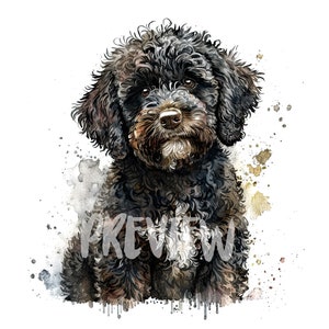 Clipart aquarelle chien d'eau espagnol - 8 JPG 300 DPI - idéal pour le scrapbooking, journal numérique - téléchargement immédiat