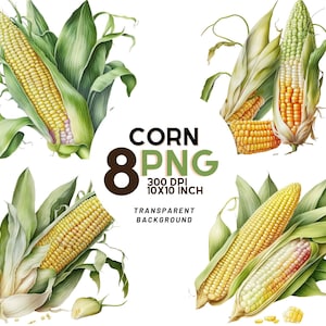 Watercolor Corn Clipart - 8 High-Resolution PNGs for Scrapbooking, Digital Journal, Printable with Commercial Use, Digital download