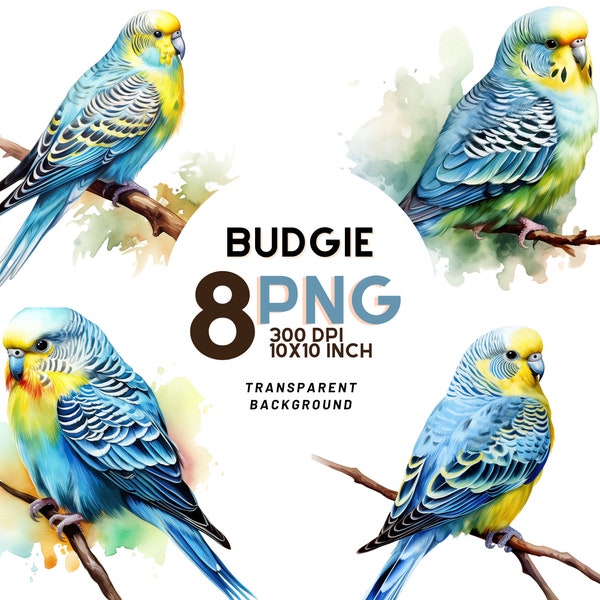 Watercolor Budgie Clipart set: 8 High-Quality 300 DPI - Scrapbooking, Digital Journals, Printables and Commercial Use - Digital Download