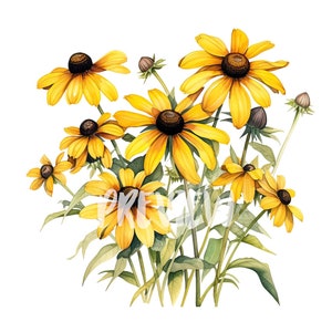 Watercolor Black-Eyed Susan set: 8 High-Quality 300 DPI PNGs, Botanical Print, Printable with Commercial Use - Digital Download