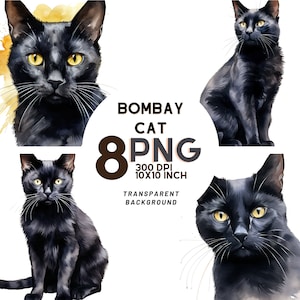 Aquarelle Bombay Cat Clipart - 8 PNG de haute qualité pour le scrapbooking, la journalisation numérique et les imprimables à usage commercial