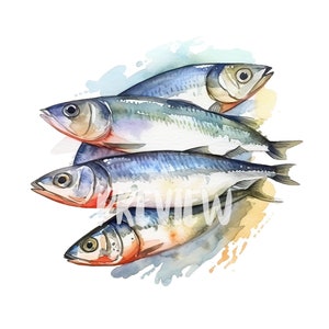 Watercolor Sardine Clipart Set - 8 High-Quality PNGs for Scrapbooking, Digital Journaling & Printable Decor - Instant Download