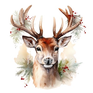 Clipart acquerello di renne di Natale: 8 PNG di alta qualità a 300 DPI - Stampabili con uso commerciale - Download digitale istantaneo