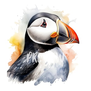 Clipart aquarelle oiseau macareux : 8 magnifiques fichiers PNG pour le scrapbooking, des journaux numériques et des produits à imprimer - téléchargement immédiat avec usage commercial