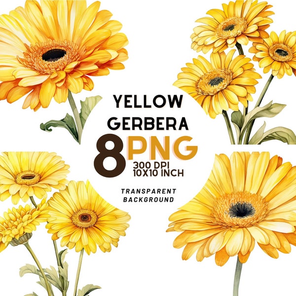 Watercolor yellow gerbera clipart: 8 High-Quality 300 DPI PNG  - Botanical Print, Commercial Use, Digital Download