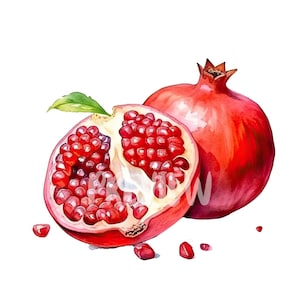 Aquarell Granatapfel Clipart: 8 hochwertige 300 DPI PNGs für Scrapbooking, Digital Journal - Kommerzielle Nutzung - Digitaler Sofort Download