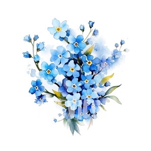 Ensemble de fleurs bleu myosotis aquarelle : 8 PNG 300 DPI de haute qualité, impression botanique, imprimable pour un usage commercial - téléchargement numérique