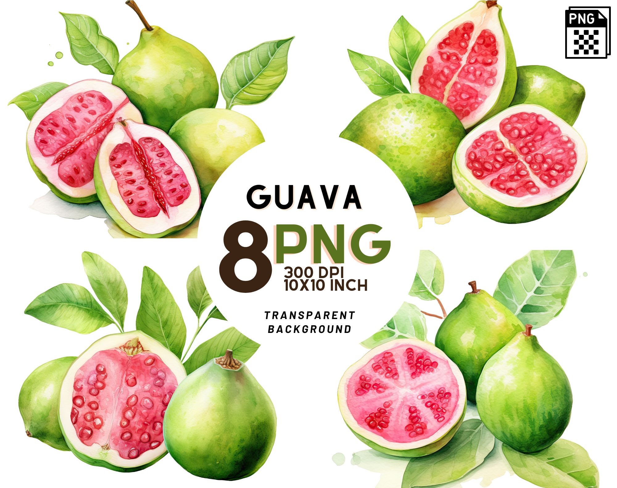 Guava Fruit Clipart