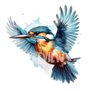 Prachtige aquarel ijsvogel vogel clipartset - 8 pngs 300 dpi