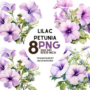 Ensemble aquarelle lilas et pétunia blanc : 8 PNG 300 DPI de haute qualité, impression botanique, imprimable avec un usage commercial, téléchargement numérique