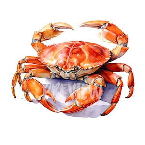 Watercolor Crab Clipart: 8 High-Quality 300 DPI PNGs for Scrapbooking, Digital Journals, Printables, and Commercial Use - Digital Download