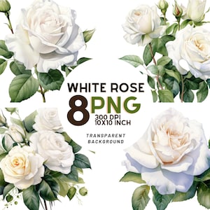 Watercolor White Roses Clipart - 8 High-Resolution Quality PNG for Scrapbooking, Digital Journaling, Printable Commercial Use - Mothers Day