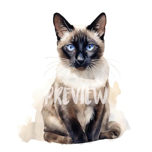 Clipart aquarelle chat siamois, 8 PNG de qualité, scrapbooking, journal numérique, imprimable pour un usage commercial, téléchargement numérique