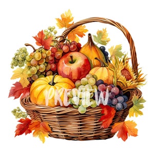 Acquerello Autunno cornucopia Clipart - 8 PNG ad alta risoluzione 300 DPI, Diario digitale, Stampabile con uso commerciale, Download digitale