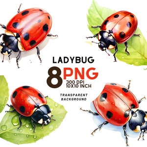 Set acquerello Ladybug: 8 JPG 300 DPI di alta qualità per Scrapbooking, riviste digitali, stampabili e uso commerciale - Download digitale