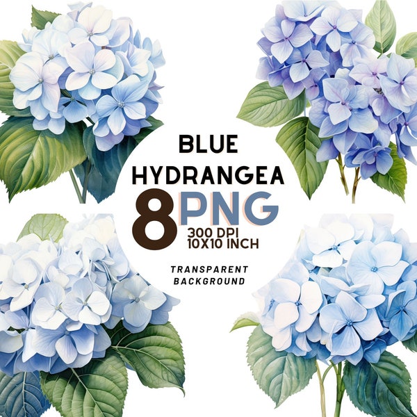 Blue Hydrangea - Etsy