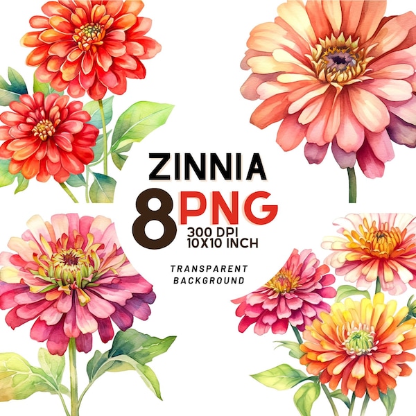 Watercolor Zinnia Clipart: 8 High-Quality PNGs, Botanical Print, Digital Journal, Printable with Commercial Use, Instant Digital Download