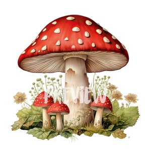 Ensemble d'illustrations botaniques de champignon vénéneux rouge : 8 illustrations de haute qualité 300 ppp - idéales pour le scrapbooking, journal numérique - téléchargement numérique