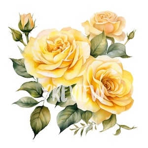 Clipart di rose gialle ad acquerello - 8 PNG di alta qualità ad alta risoluzione per scrapbooking, diario digitale, uso commerciale stampabile, progetti fai da te