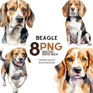 Watercolor Beagle Clipart: 8 High-Quality PNGs for Scrapbooking, Digital Journal, Printable Art, Commercial Use - Instant Digital Download