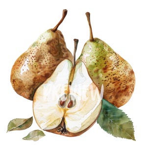 Clipart de peras en acuarela: 8 PNG de alta resolución para álbumes de recortes, diarios digitales, imprimibles para uso comercial, descarga digital
