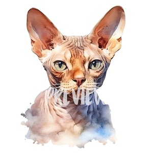 Clipart chat Devon Rex aquarelle - 8 PNG 300 DPI de haute qualité pour le scrapbooking, la journalisation numérique et les produits imprimables à usage commercial