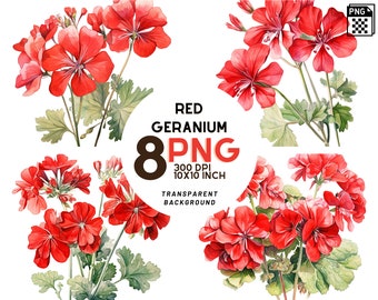 Watercolor Red Geranium set: 8 High-Quality 300 DPI PNGs, Botanical Print, Printable with Commercial Use, Digital Download