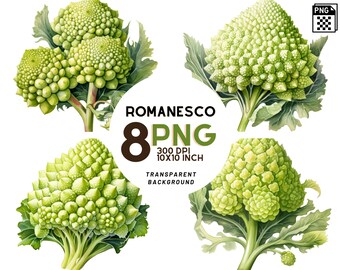 Watercolor Romanesco Clipart - 8 High-Resolution PNG 300 DPI, Digital Journal, Printable with Commercial Use, Digital download