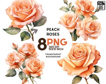 Watercolor Peach Roses Clipart - 8 High-Resolution Quality PNG for Scrapbooking, Digital Journaling, Printable Commercial Use - Mothers Day