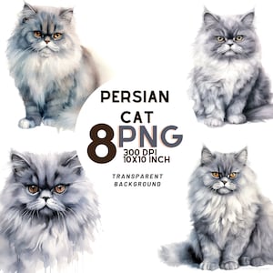 Clipart Chat persan gris aquarelle : 8 images de grande qualité pour vos projets créatifs