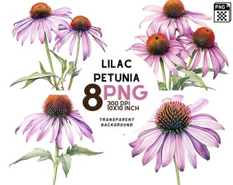 Watercolor Lilac Coneflower set: 8 High-Quality 300 DPI PNGs, Botanical Print, Printable with Commercial Use, Digital Download