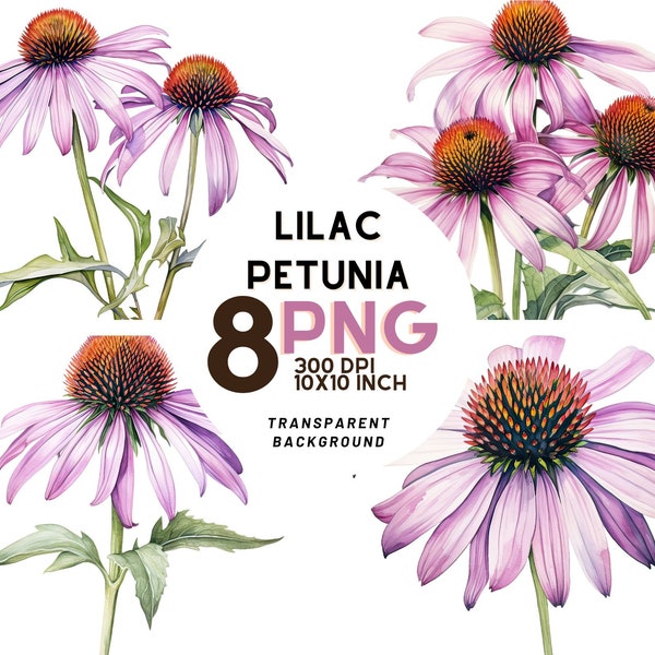 Watercolor Lilac Coneflower set: 8 High-Quality 300 DPI PNGs, Botanical Print, Printable with Commercial Use, Digital Download
