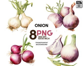 Watercolor Onions Clipart - 8 High-Resolution PNG 300 DPI, Digital Journal, Printable with Commercial Use, Digital download