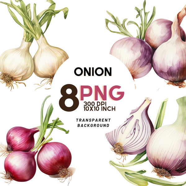 Watercolor Onions Clipart - 8 High-Resolution PNG 300 DPI, Digital Journal, Printable with Commercial Use, Digital download