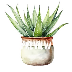 Aloe vera in a pot watercolor clipart: 8 HIGH Quality JPGs for Botanical Prints, Digital Journaling, Scrapbooking, Digital download