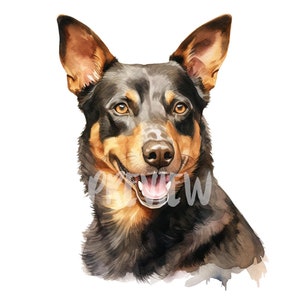 Aquarell Australian Kelpie Set: 8 hochwertige PNGs für Scrapbooking, digitale Journals, Printables und kommerzielle Nutzung - Digitaler Download