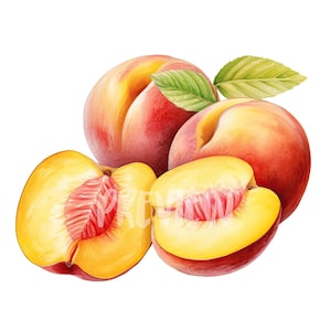 Watercolor Peaches Clipart - 8 High-Resolution PNGs for Scrapbooking, Digital Journal, Printable with Commercial Use, Digital download