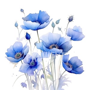 Bellissimo set di clipart di papaveri blu ad acquerello - 8 PNG di alta qualità per scrapbooking, diario digitale e uso commerciale