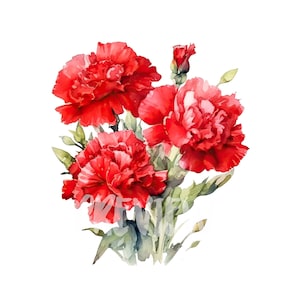 Watercolor Red Carnation Clipart - Set of 8 High-Quality PNGs for Scrapbooking, Printing, and Commercial Use