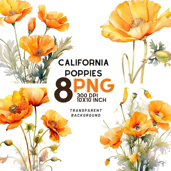 Orange California  poppies Watercolor Clipart Set: 8 High-Quality PNGs for Scrapbooking, Digital Journaling, and Commercial Use