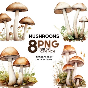 Botanische minimalistische paddestoelen clipart: 8 hoogwaardige PNG's, botanische print, digitaal dagboek, commercieel gebruik, instant digitale download
