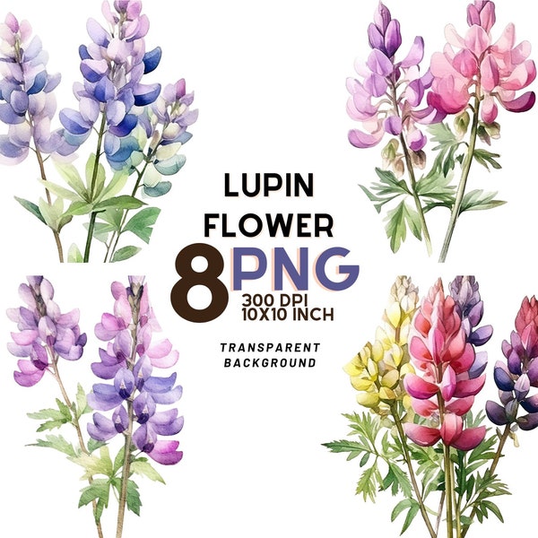 Clipart de fleur de lupin aquarelle - 8 PNG haute résolution pour Scrapbooking, Journal numérique, imprimable avec un usage commercial, téléchargement numérique